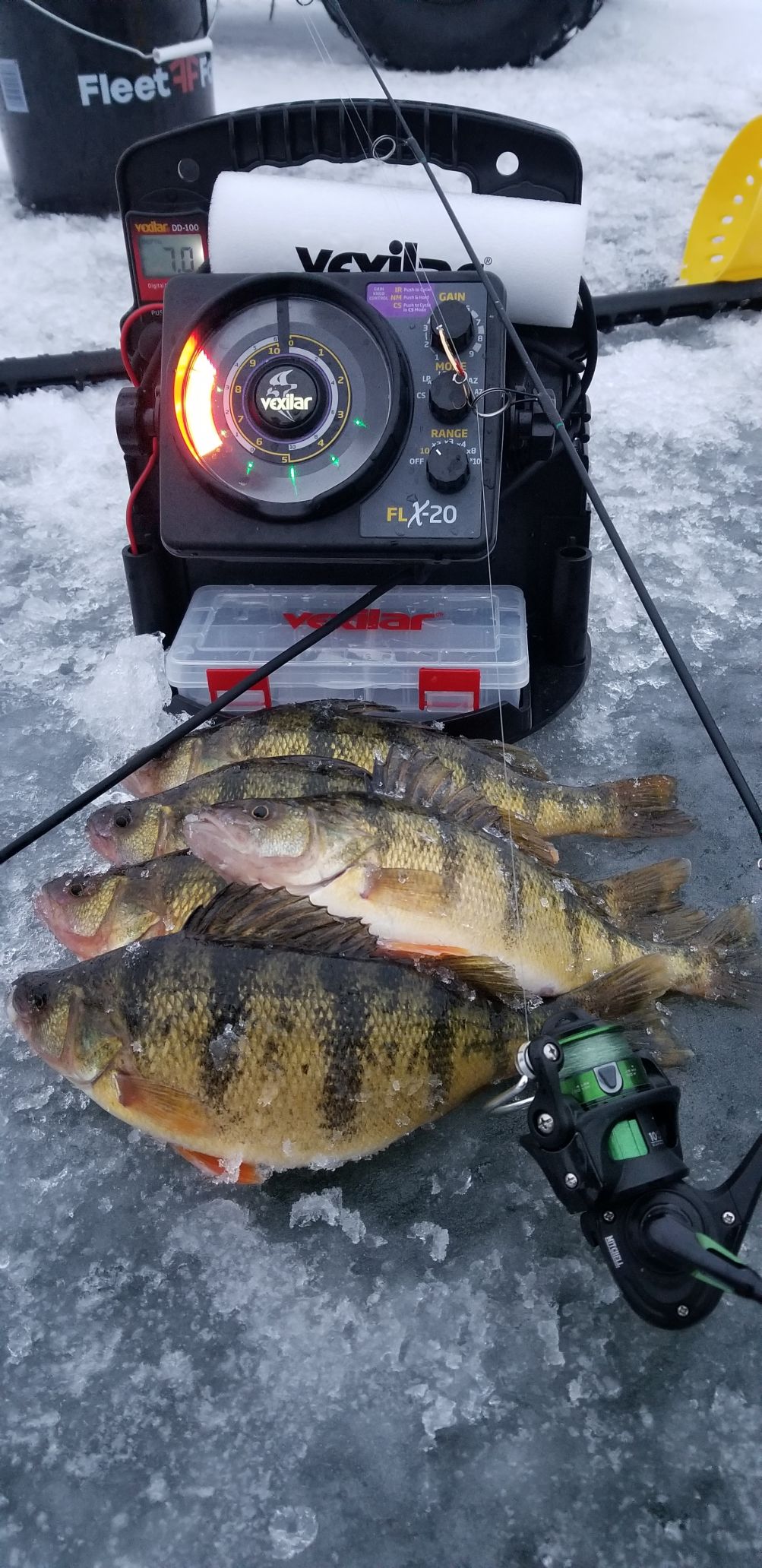 February Perch in sight